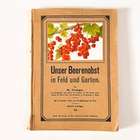 ドイツ　Unser Beerenobst in Feld und Garten　1919年　植物図鑑