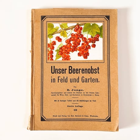 ドイツ　Unser Beerenobst in Feld und Garten　1919年　植物図鑑