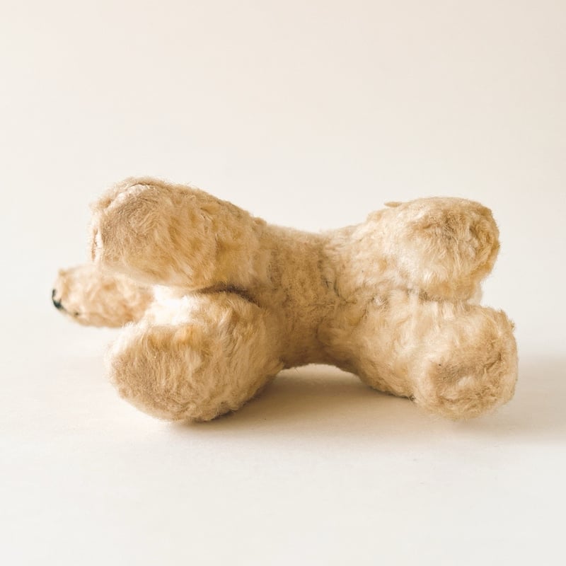西ドイツ 年代不明 小さな白い犬 ぬいぐるみ 全長13cm | こぐま舎