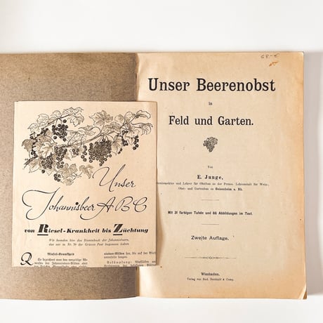 ドイツ　Unser Beerenobst in Feld und Garten　1919年　植物図鑑