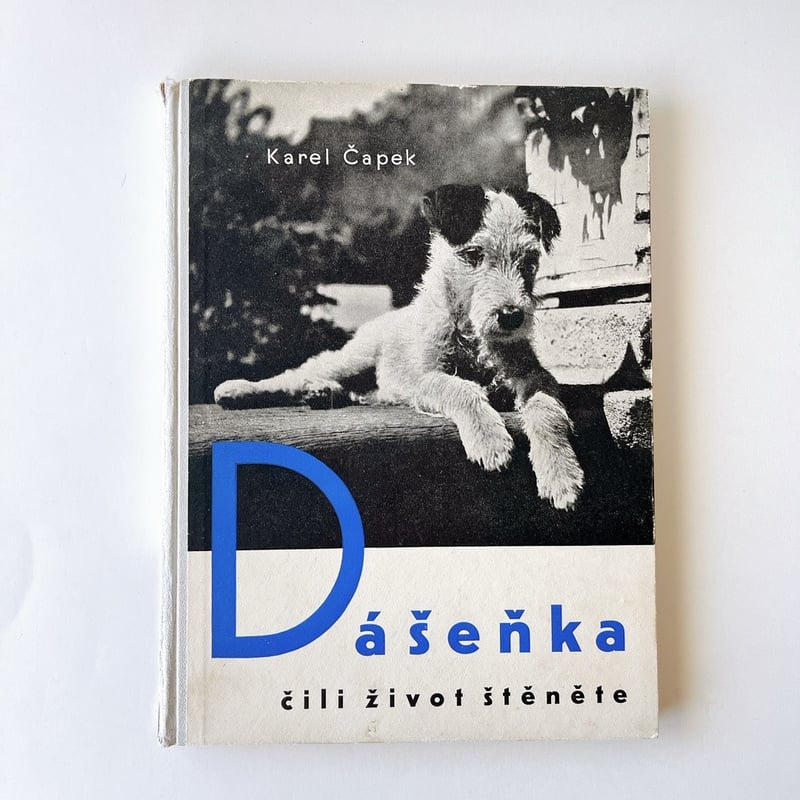 チェコスロバキア Dášenka ダーシェニカ カレル・チャペック 絵本