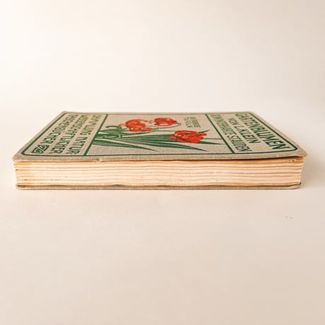 ドイツ　Gartenblumen II. Winterharte Stauden (1927)