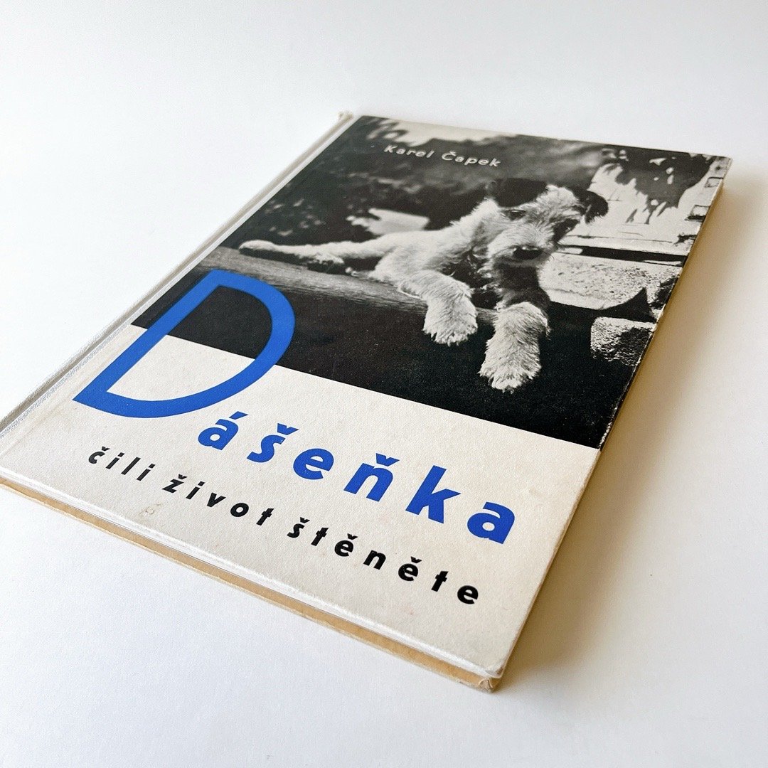 チェコスロバキア Dášenka ダーシェニカ カレル・チャペック 絵本