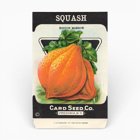 シードパケット　種袋　アメリカ　SQUASH
