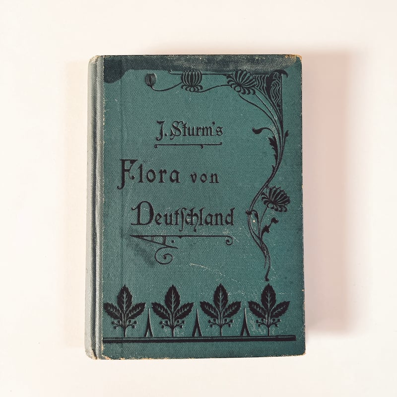 ドイツ Sturm's Flora von Deuchland 1 (1904) 植物図鑑 |