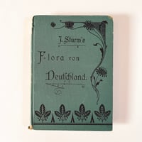 ドイツ　Sturm’s Flora von Deuchland 2 (1904)　植物図鑑