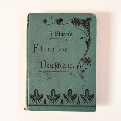 ドイツ　Sturm’s Flora von Deuchland 2 (1904)　植物図鑑