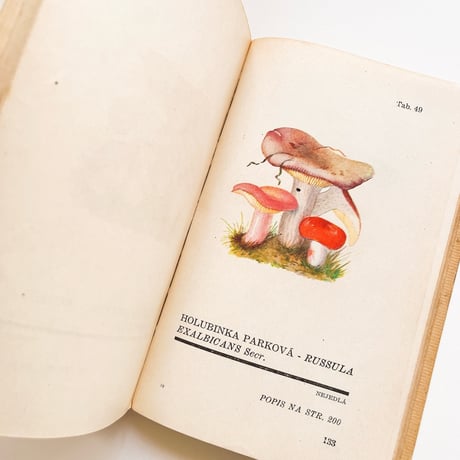 チェコスロバキア　きのこ図鑑　Atlas Holubinek　1945年