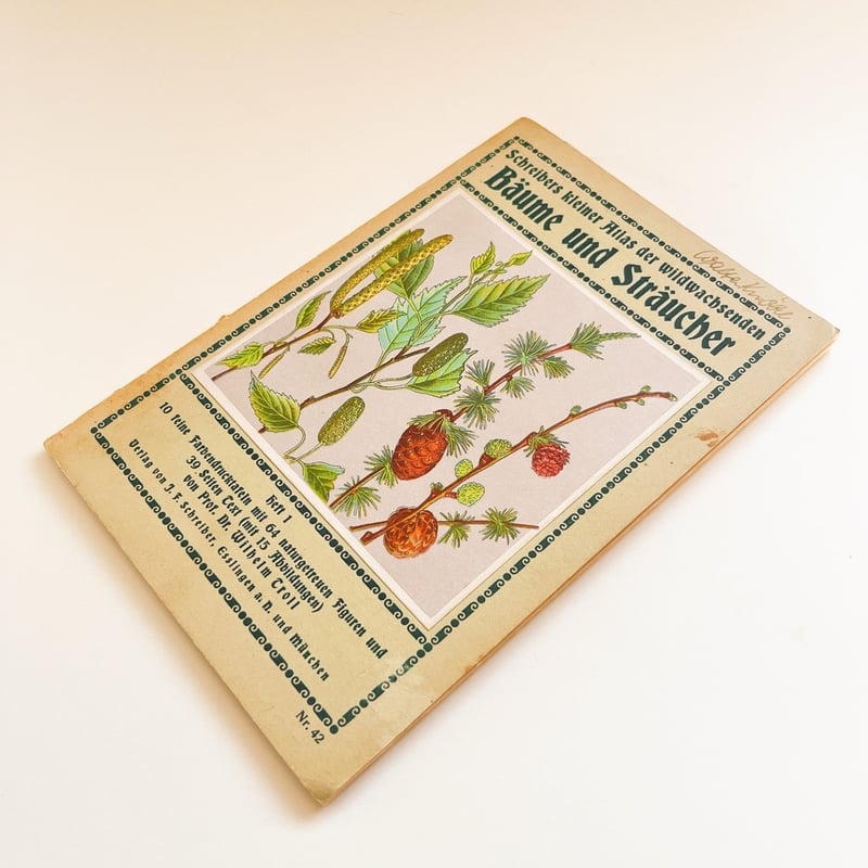 ドイツ 植物図鑑 Bäume und Sträucher, Heft 1, 1934 | こぐま舎
