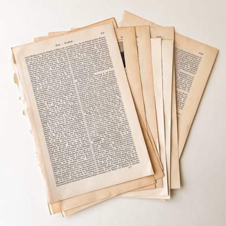 CATEGORY 紙ものセット | こぐま舎