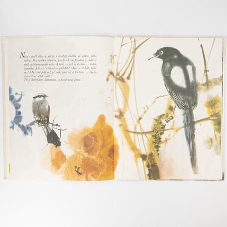 チェコスロバキア　Kde louky nejvíc voní　1977年　ミルコ・ハナーク
