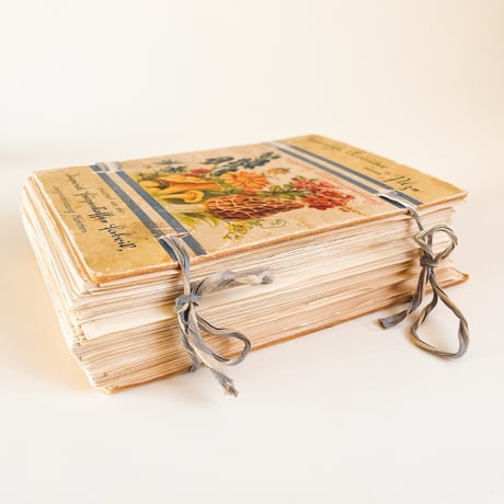 ドイツ　図鑑セット　Heimische Kräuter und Pilze　1925年