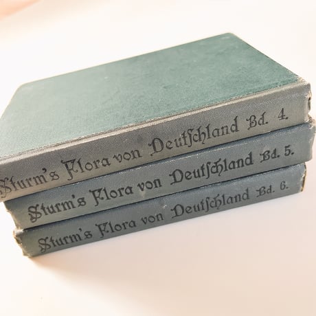 ドイツ　Sturm’s Flora von Deuchland 5 (1904)　植物図鑑