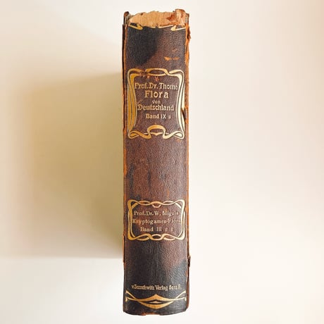 ドイツ　きのこ図鑑　Krytogamen-Flora, Band III, Pilze 2. Teil, 2. Abteilung (Thomé, Migula 1912)
