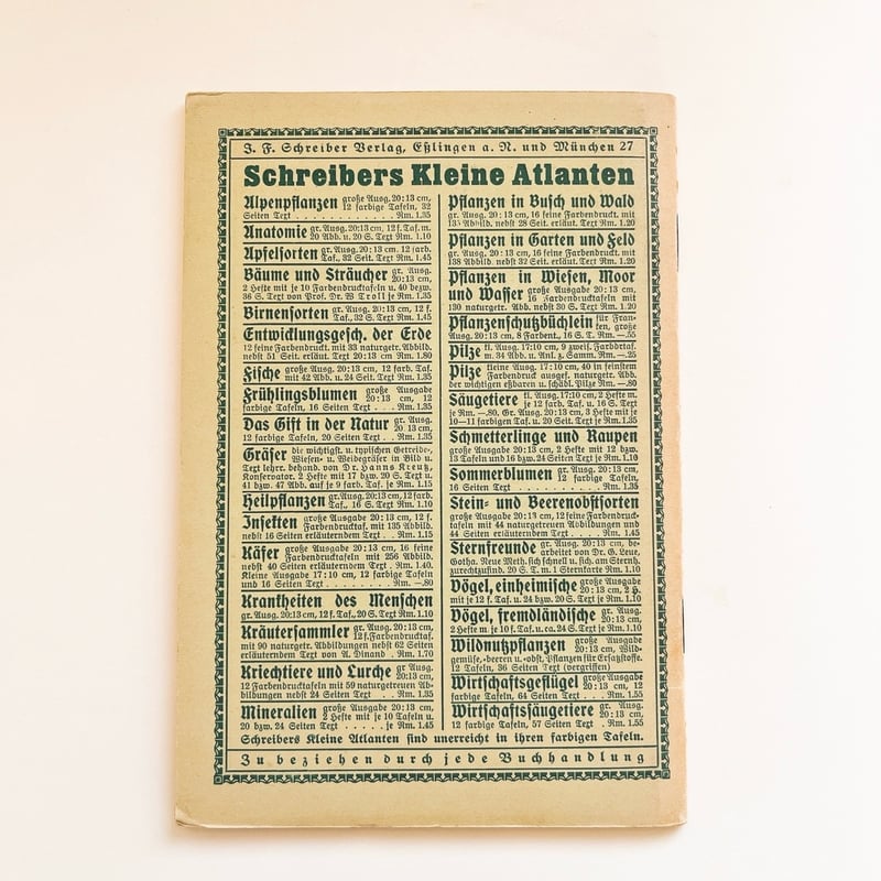 ドイツ 植物図鑑 Bäume und Sträucher, Heft 1, 1934 | こぐま舎