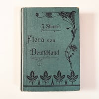 ドイツ　Sturm’s Flora von Deuchland 4 (1904)　植物図鑑