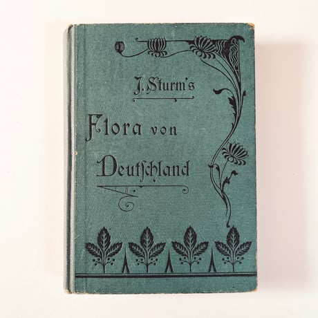 ドイツ　Sturm’s Flora von Deuchland 4 (1904)　植物図鑑