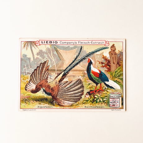 リービッヒ　トレーディングカード　LIEBIG TRADE CARDS　鳥04