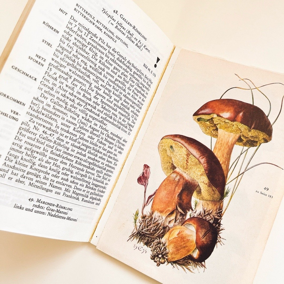 東ドイツ きのこ図鑑 Knaurs Pilzbuch (1973) | こぐま舎