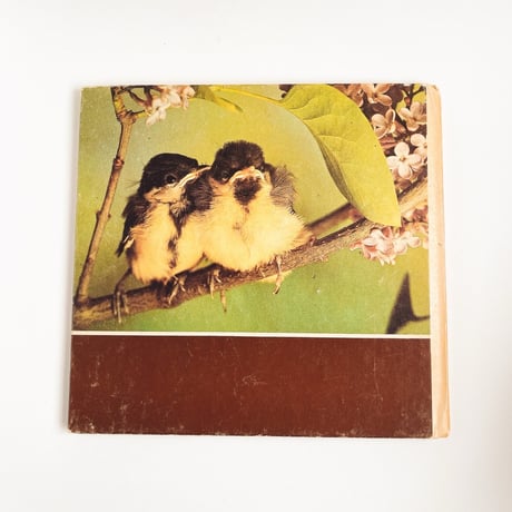 東ドイツ　Vögel in unserem Garten　1985年　動物図鑑