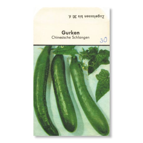 シードパケット　種袋　西ドイツ　Gurken