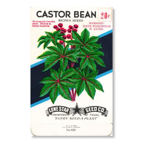 シードパケット　種袋　アメリカ　Castor Bean - Ricinus Mixed