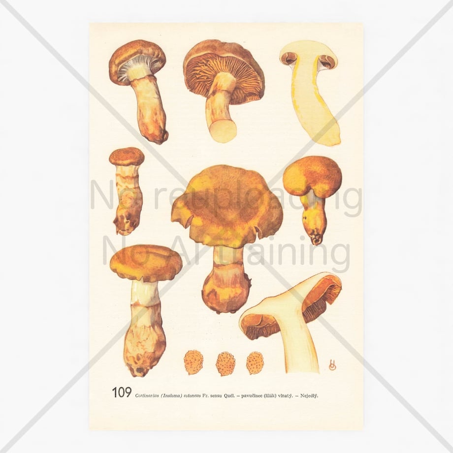 647f130d7081090035281d23