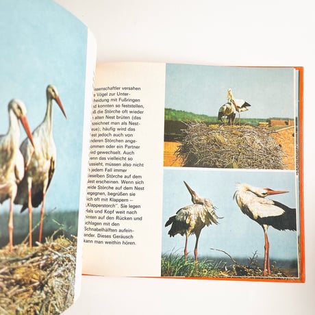 東ドイツ　Das Storchenjahr　1985年　動物図鑑