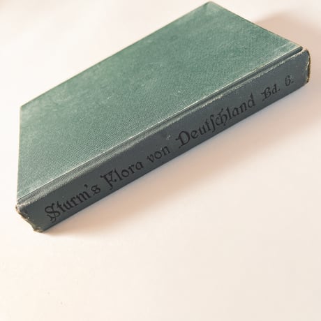 ドイツ　Sturm’s Flora von Deuchland 6 (1904)　植物図鑑