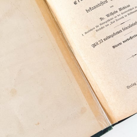 ドイツ　きのこ図鑑　Unsere essbaren Schwämme (1883)