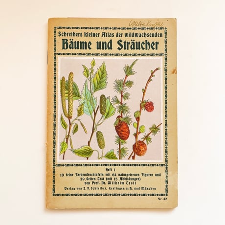 ドイツ　植物図鑑　Bäume und Sträucher, Heft 1, 1934