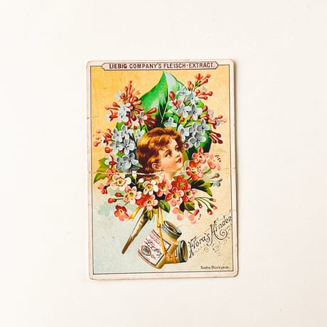 リービッヒ　トレーディングカード　LIEBIG TRADE CARDS　Flora's02