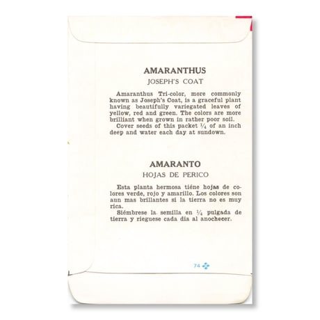 シードパケット　種袋　アメリカ　Amaranthus - Joseph’s Coat