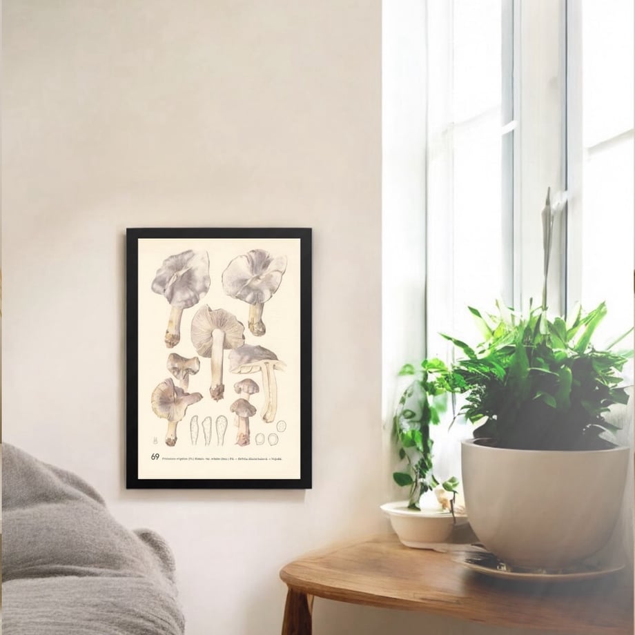 692e660130aa3d8c87b14888
