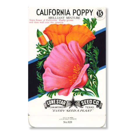 シードパケット　種袋　アメリカ　California Poppy - Brilliant Mixture. State Flower of California.