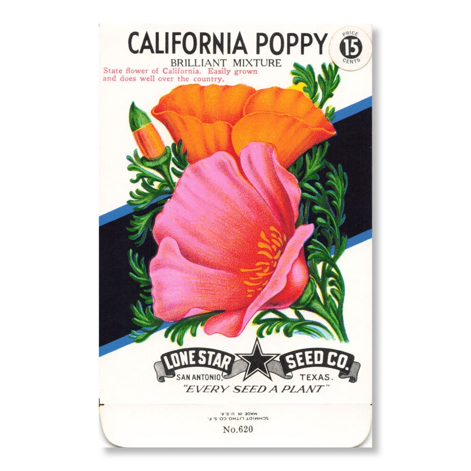 648d3ddc1896a10049718535
