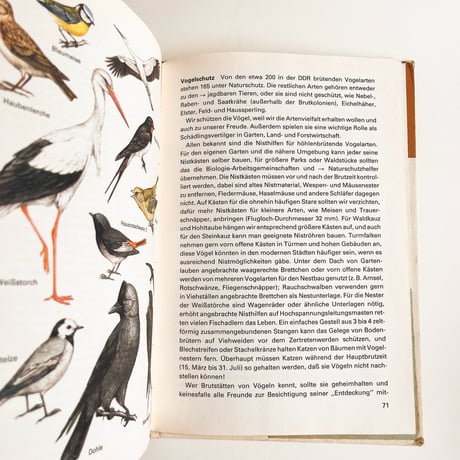 東ドイツ　Pflanzen Tiere und Naturschutz　1984年