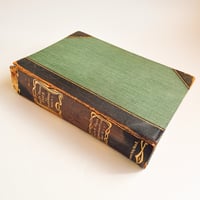 ドイツ インゼル文庫「Das kleine Baumbuch」No.316 （樹木図鑑）193