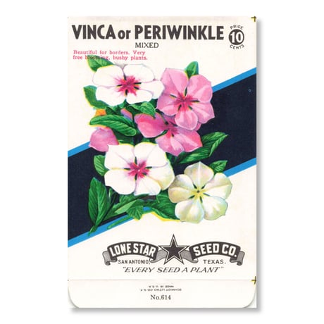シードパケット　種袋　アメリカ　Vinca or Periwinkle - Mixed