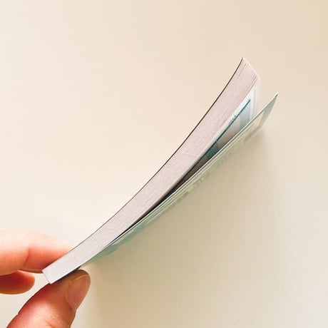 ポーランド　DOWOD　領収書　横型　現行品