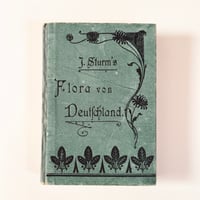 ドイツ　Sturm’s Flora von Deuchland 5 (1904)　植物図鑑