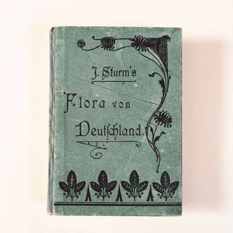ドイツ　Sturm’s Flora von Deuchland 5 (1904)　植物図鑑