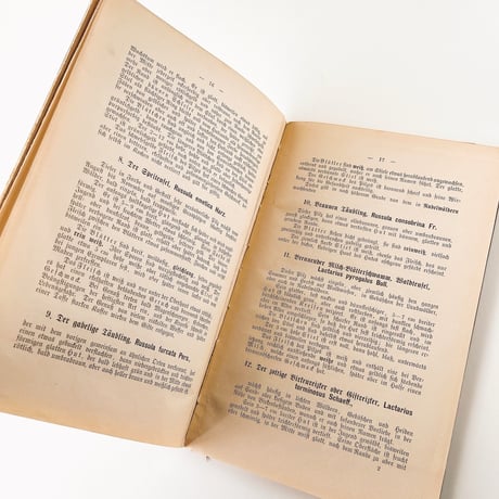 ドイツ　きのこ図鑑　Unsere häufigeren eßbaren Pilze | Unsere verbreiteten giftigen Pilze (1889)