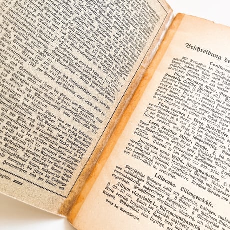 ドイツ　植物図鑑　Schreibers Kleiner Atlas der Alpenpflanzen, 1934