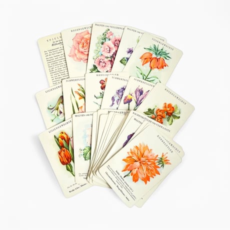 東ドイツ　カードゲーム　Blühender Garten　1960年代　箱入り