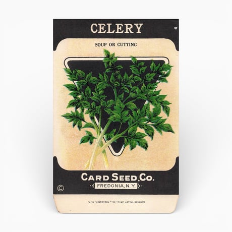 シードパケット　種袋　アメリカ　CELERY SOUP OR CUTTING