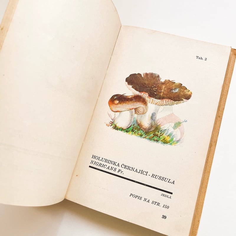 チェコスロバキア きのこ図鑑 Atlas Holubinek 1945年 | こぐま舎