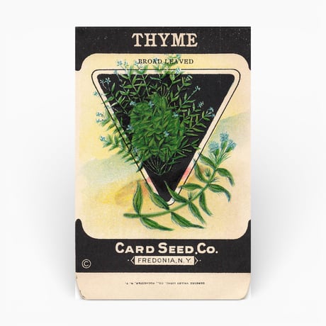 シードパケット　種袋　アメリカ　THYME