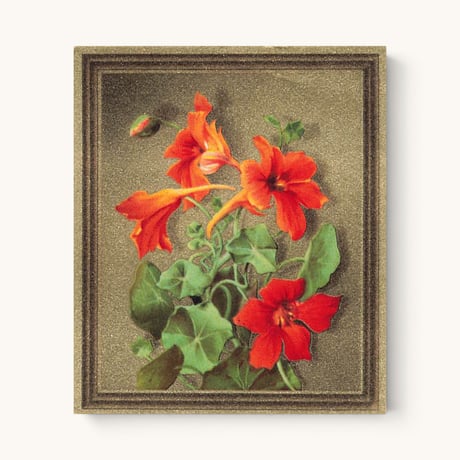 ドイツ　シガレットカード　No.170
