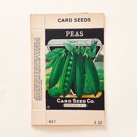 シードパケット　種袋　箱　アメリカ　PEAS GRADUS